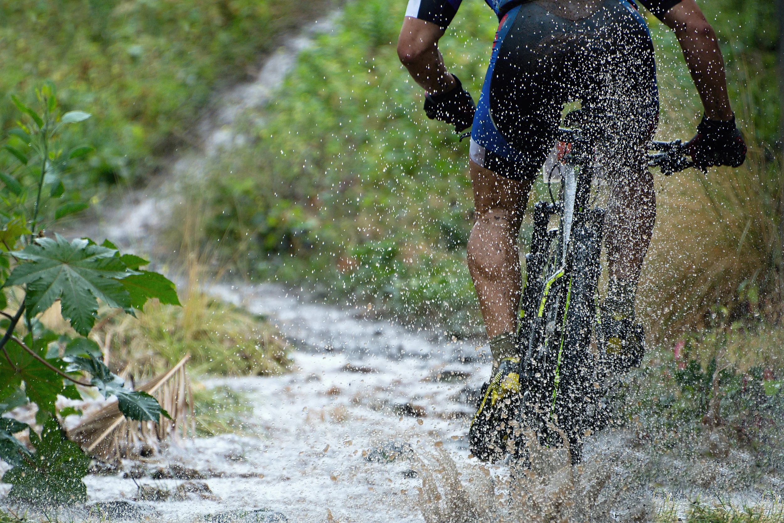 mountain-biking-chain-reaction-evans-ga.jpeg