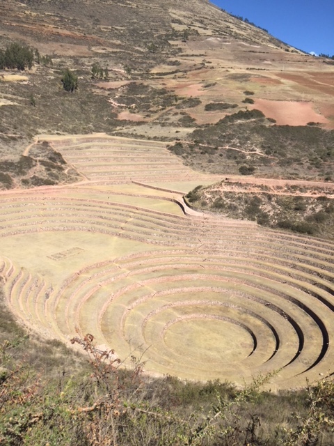 Circular terraces for agricultural experimentation.