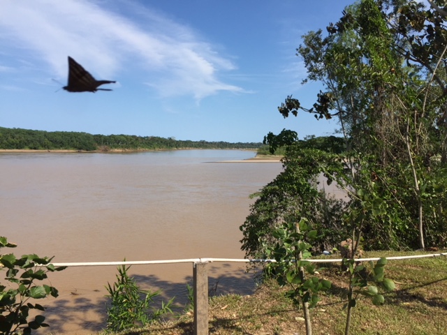 Madre de Rios, at Amazon River Basin, from our open air cabana.