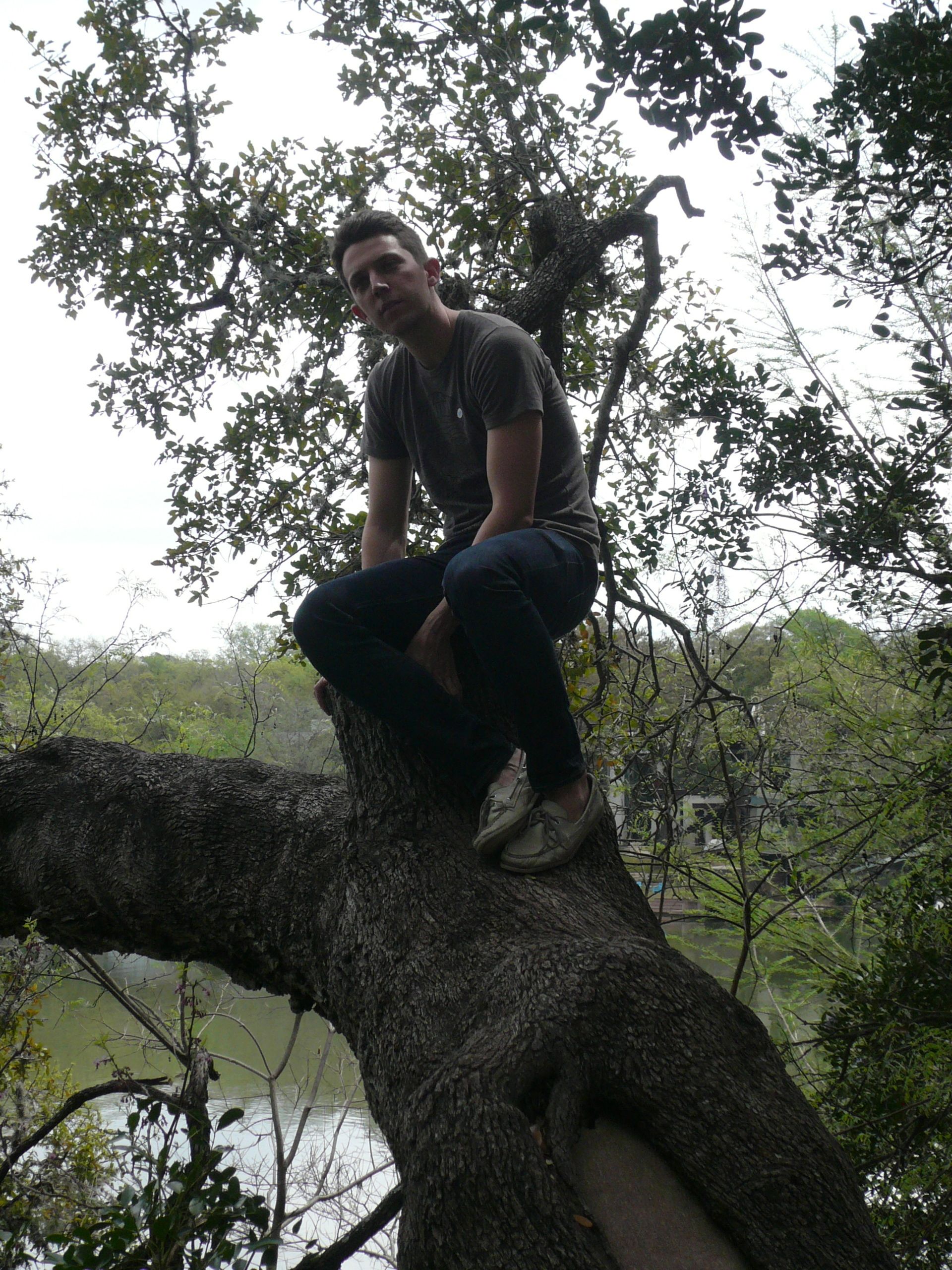 Alex in tree in Austin, c. 2014