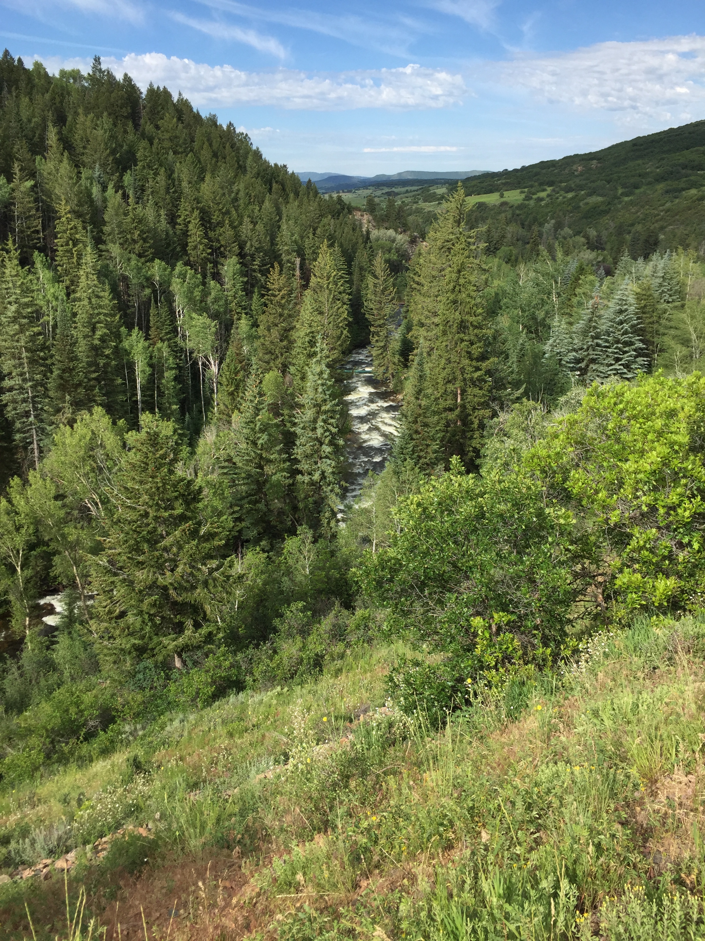 Mad Creek immediately below the trail and Yampa Valley in the distance.