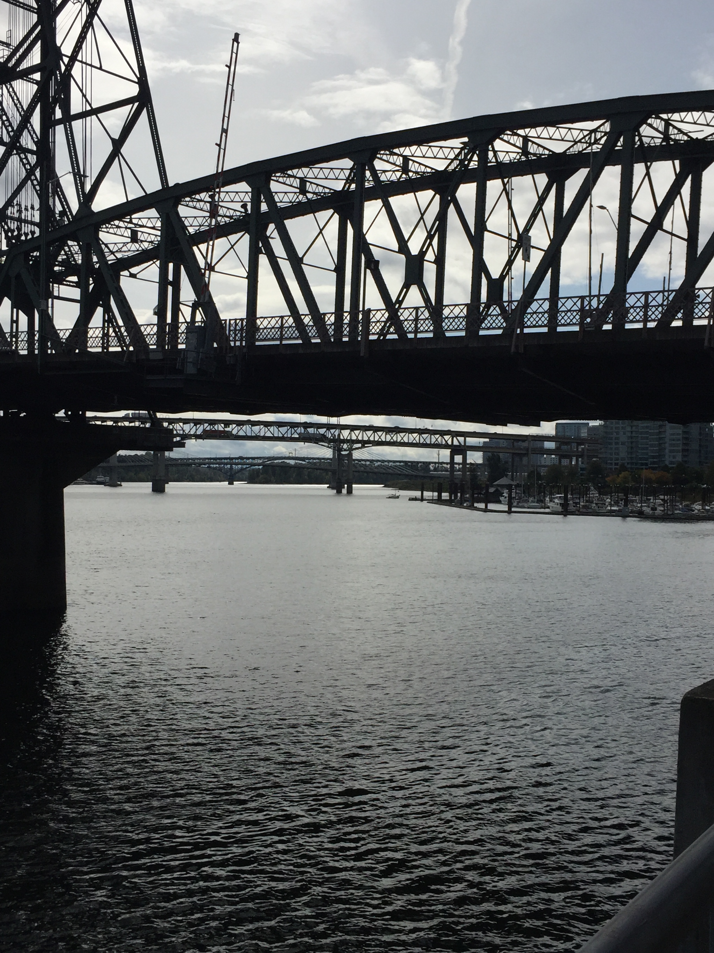 Bridges over the Willamette River near Waterfront Park