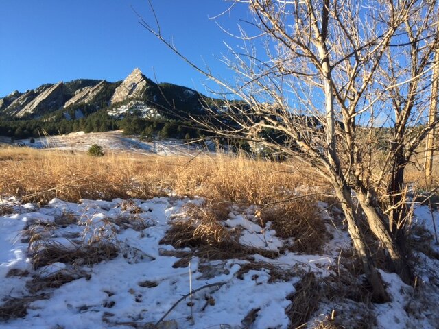 The iconic Flagstaff Mountains.