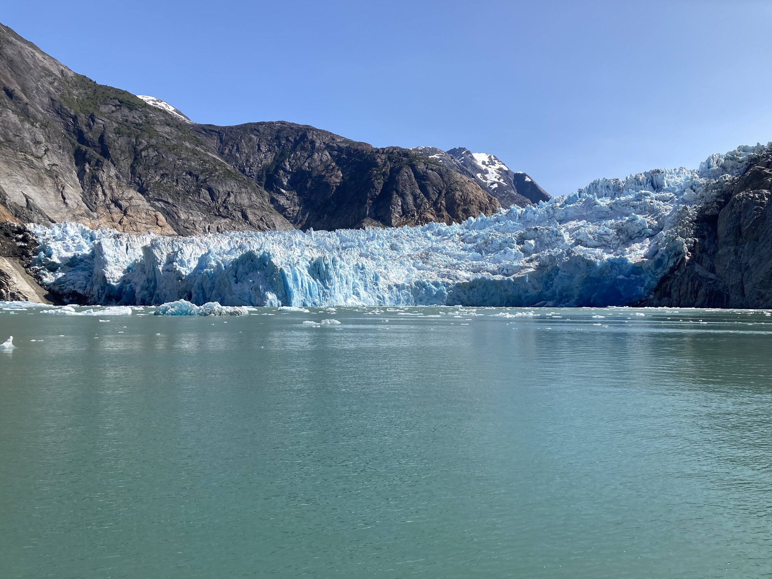 South Dawson Glacier at end of Tracy inlet