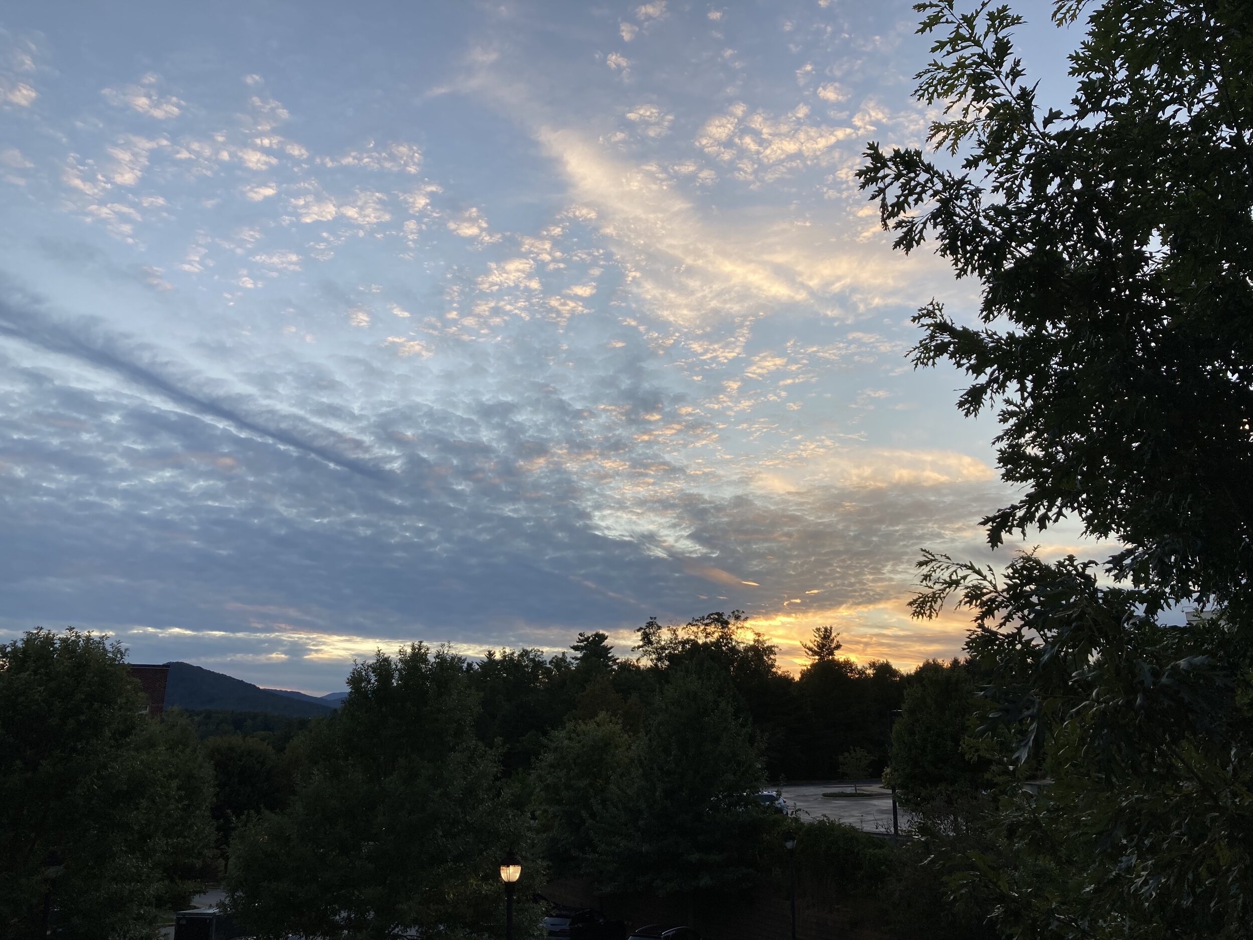 Evening sky, Asheville.