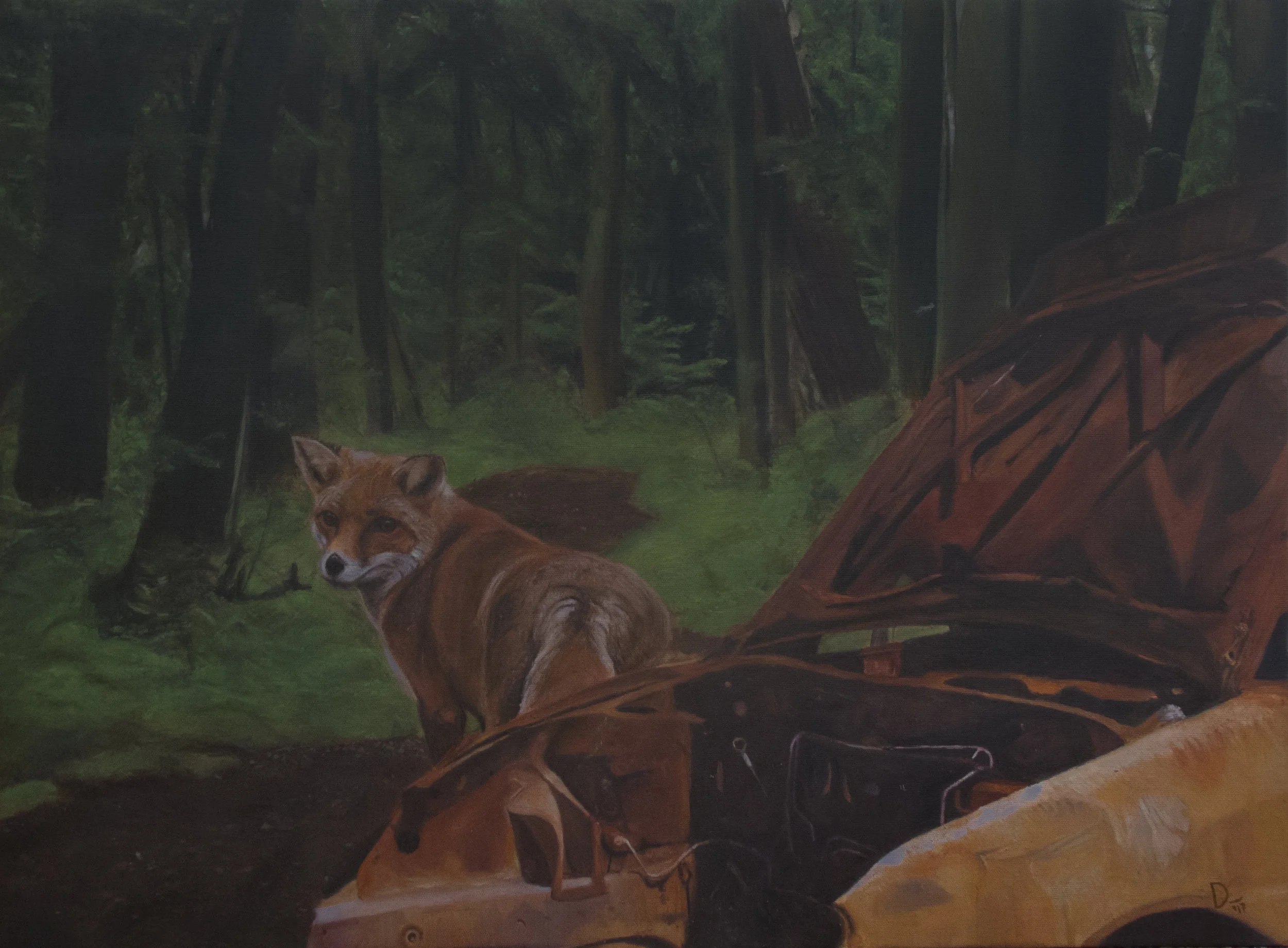 fox.jpg