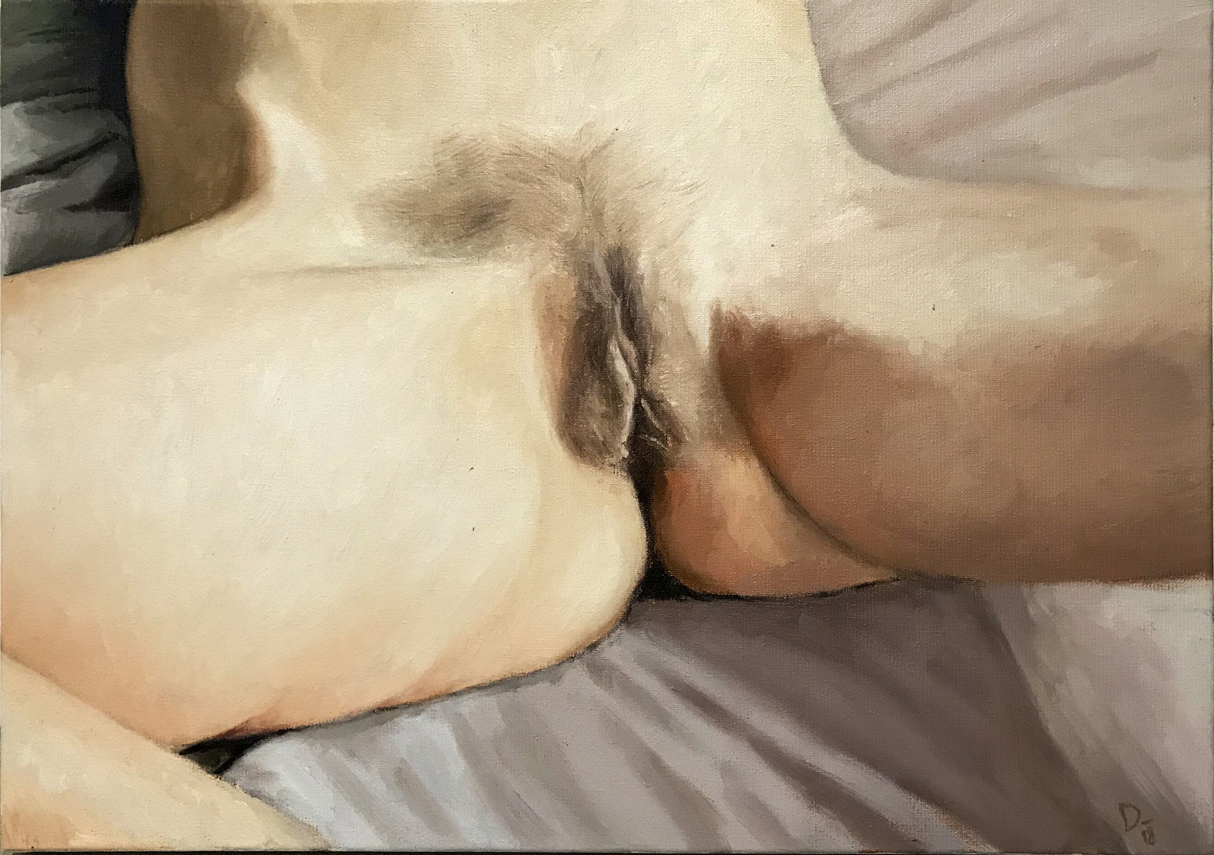 zorra1f.jpg