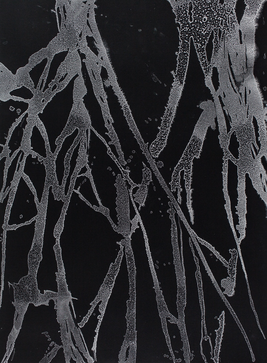 Roots I Sea salt crystals on paper 30" H X 22" W 2013