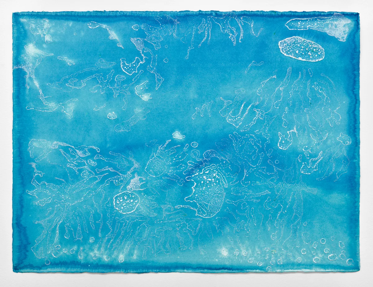 Dreams of the Sea -- Detail: 22"H x 30"W Top sheet of paper Sea salt crystals and ink on watercolor paper 2017