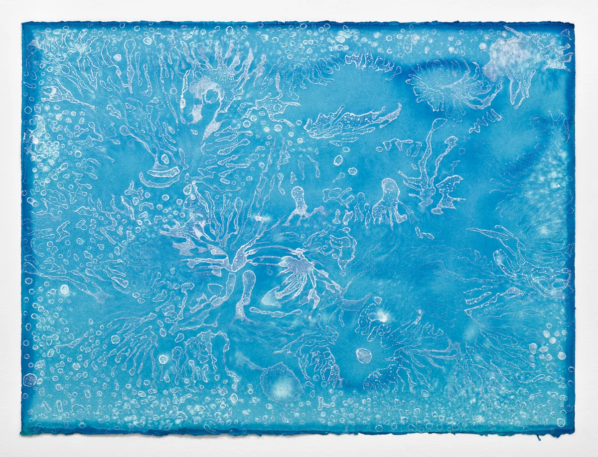Dreams of the Sea -- Detail: 22"H x 30"W Middle sheet of paper Sea salt crystals and ink on watercolor paper 2017