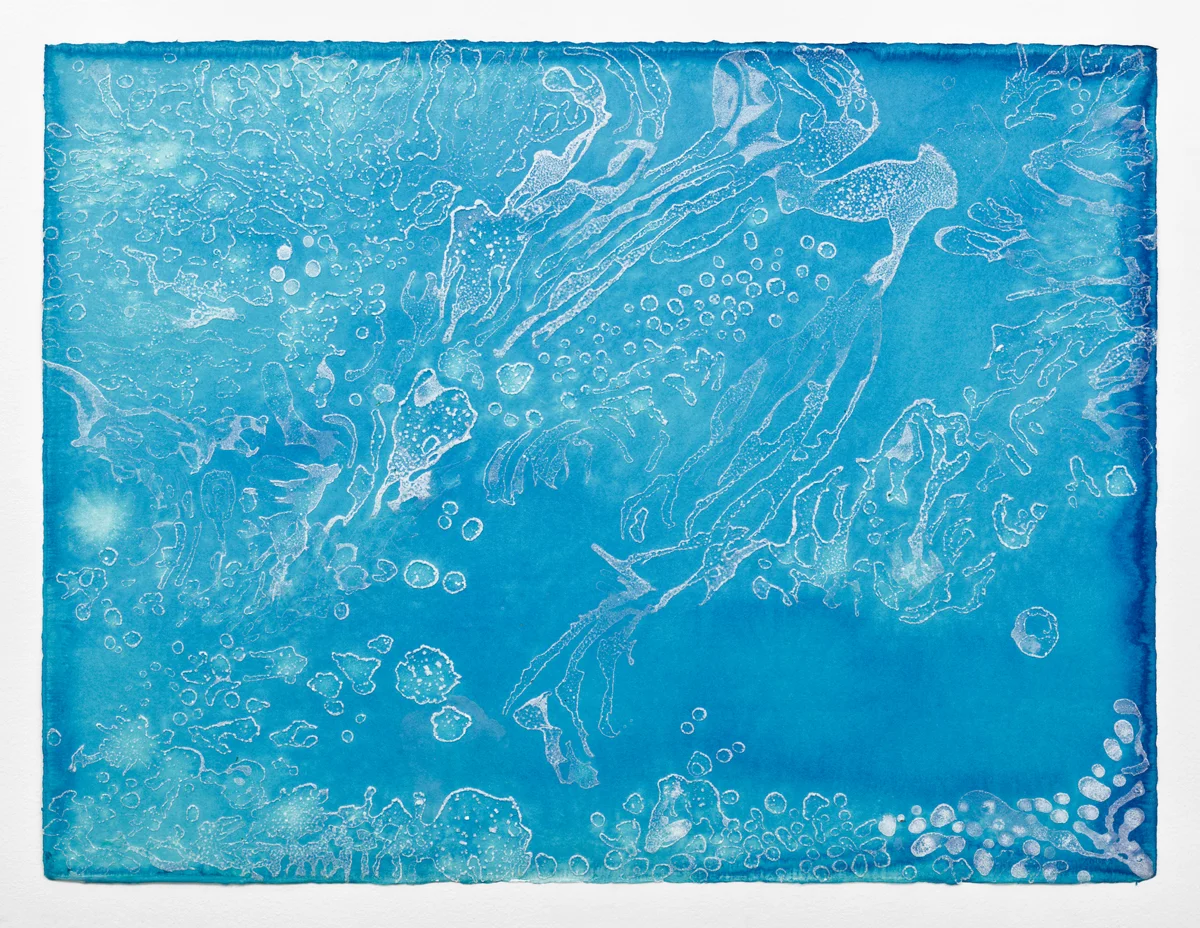 Dreams of the Sea -- Detail: 22"H x 30"W Bottom sheet of paper Sea salt crystals and ink on watercolor paper 2017