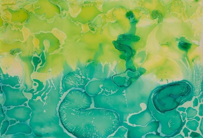 Coastal Waters -- Warm and Cool Sea salt crystals and inks on German Etch paper 30"H x 43 1/2"W 2014
