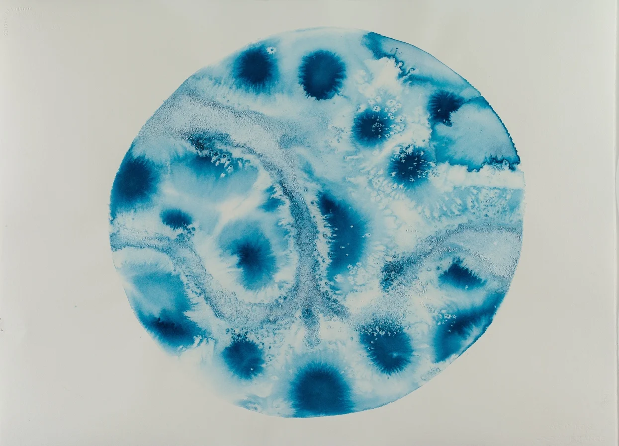 Macrocosm -- Ancient Ocean Sea salt and inks on watercolor paper 22"H x 30"W 2013