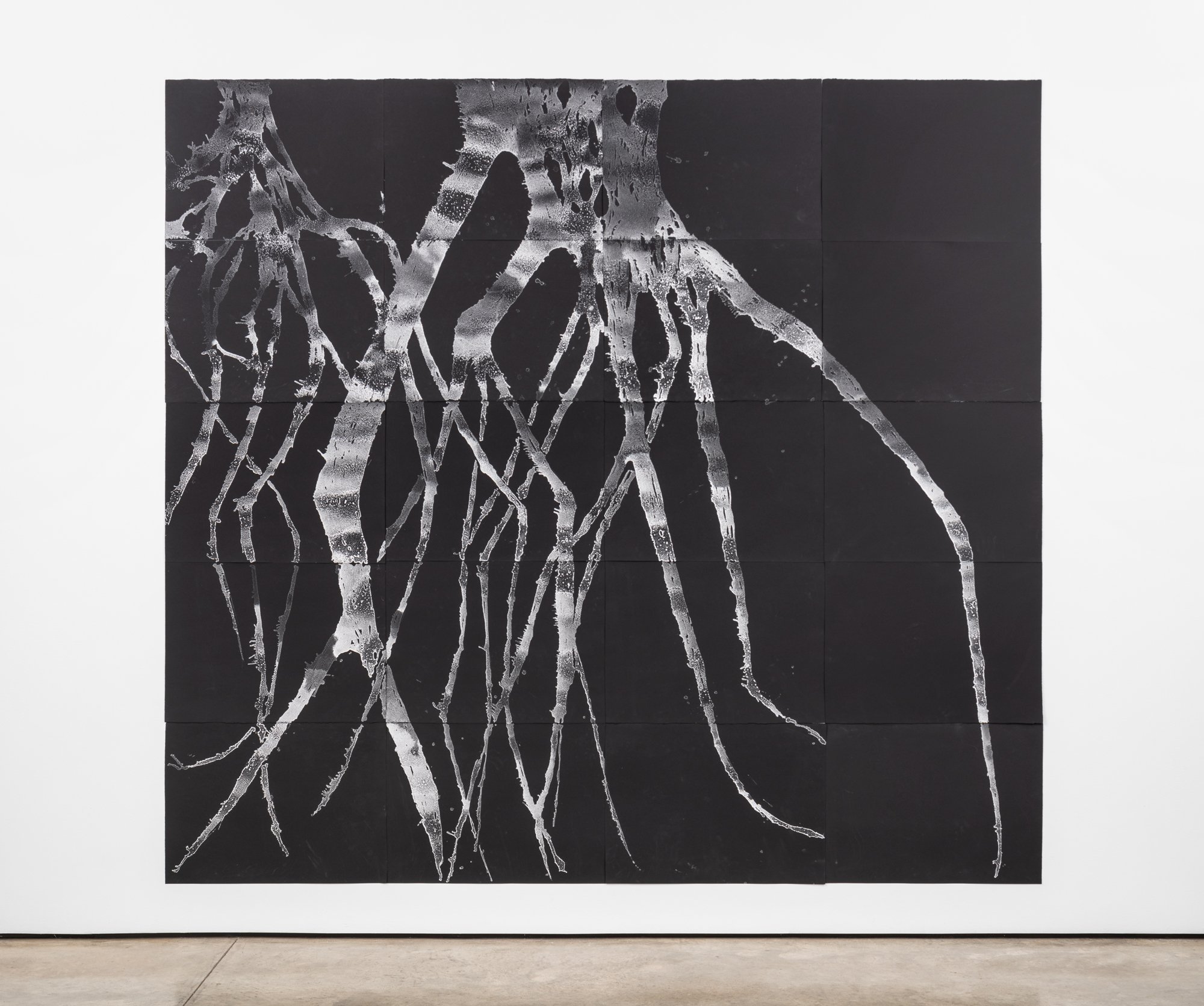 Walking Roots