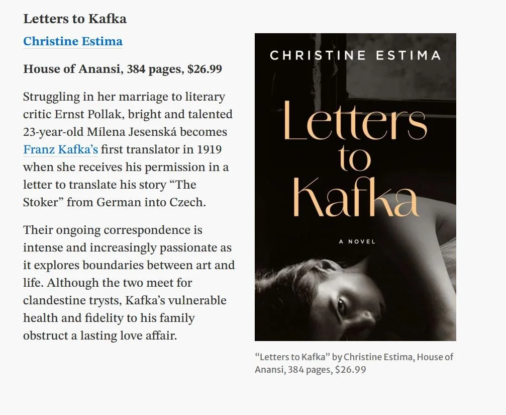 toronto star 2025 snip 1.JPG