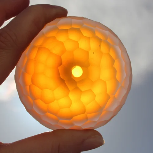 CCUKNidula2PeridioleSun.jpg