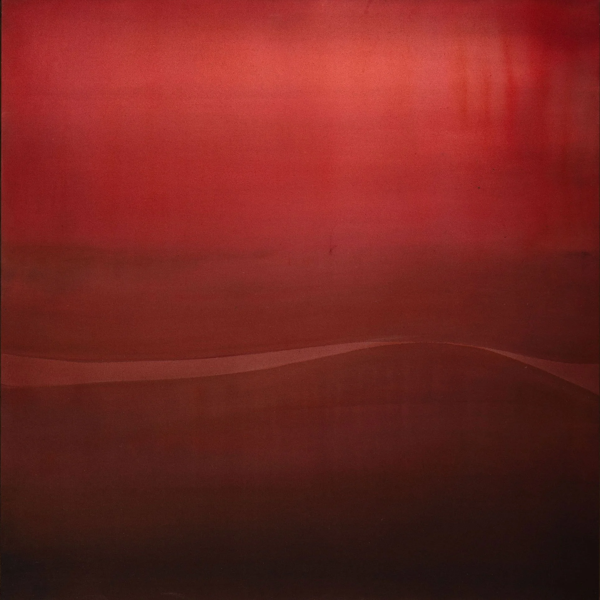FRANKLY,-SCARLET-close-crop.web.jpg