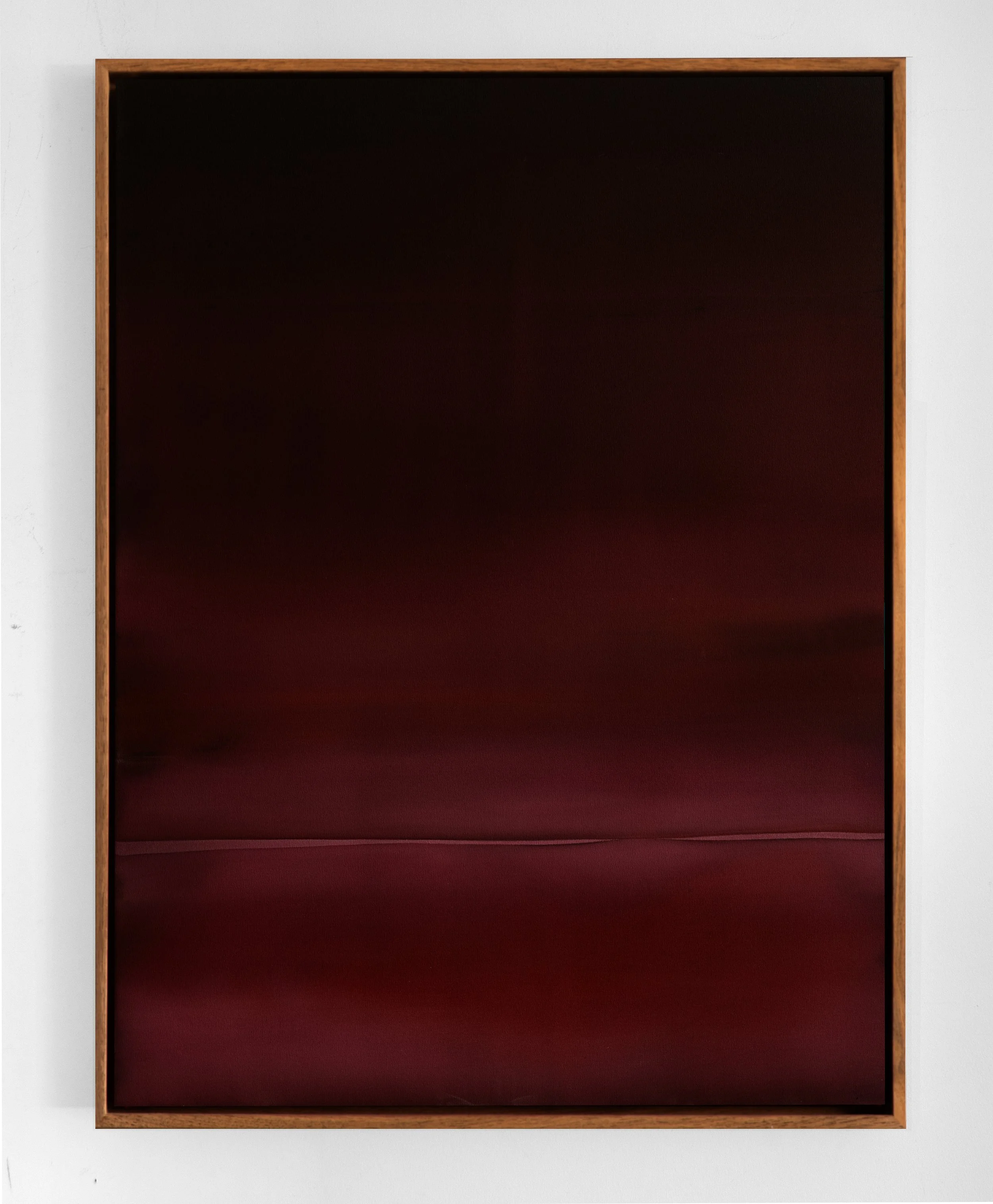 HIDING IN PLAIN SIGHT on wall.HR.jpg