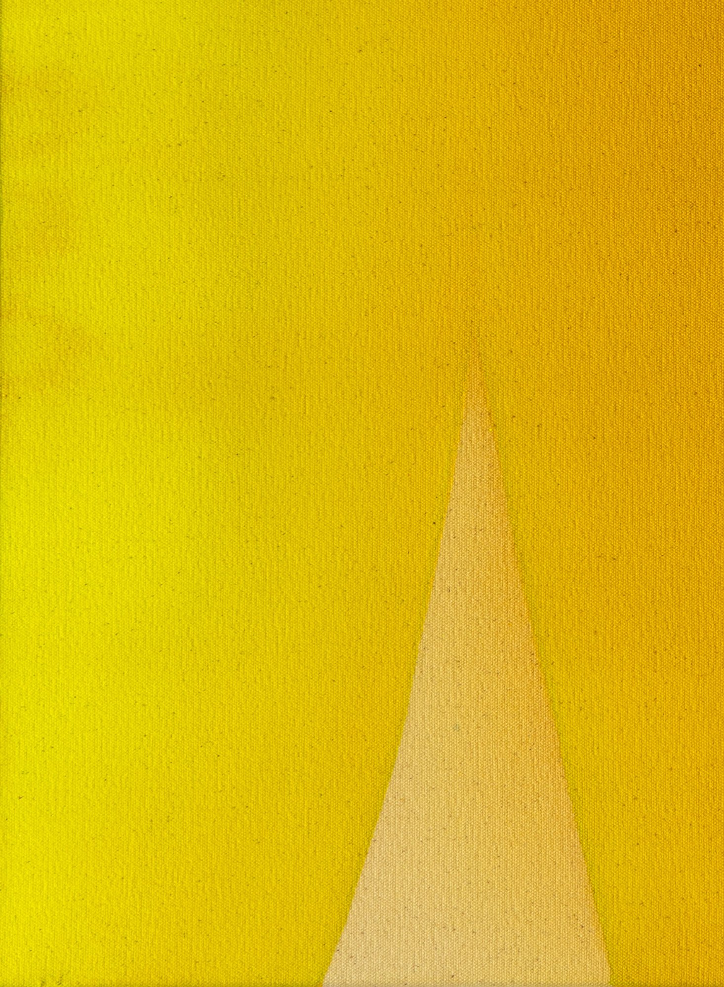 WHERE-THE-LIGHT-GETS-IN.close-up.jpg