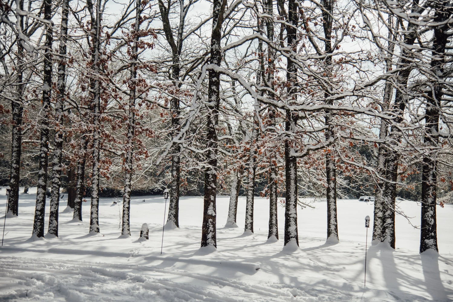 DSC_4947.jpg