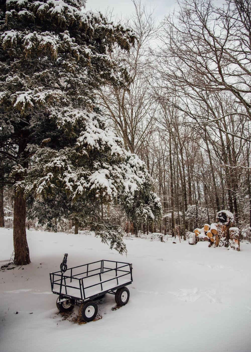 DSC_4692.jpg