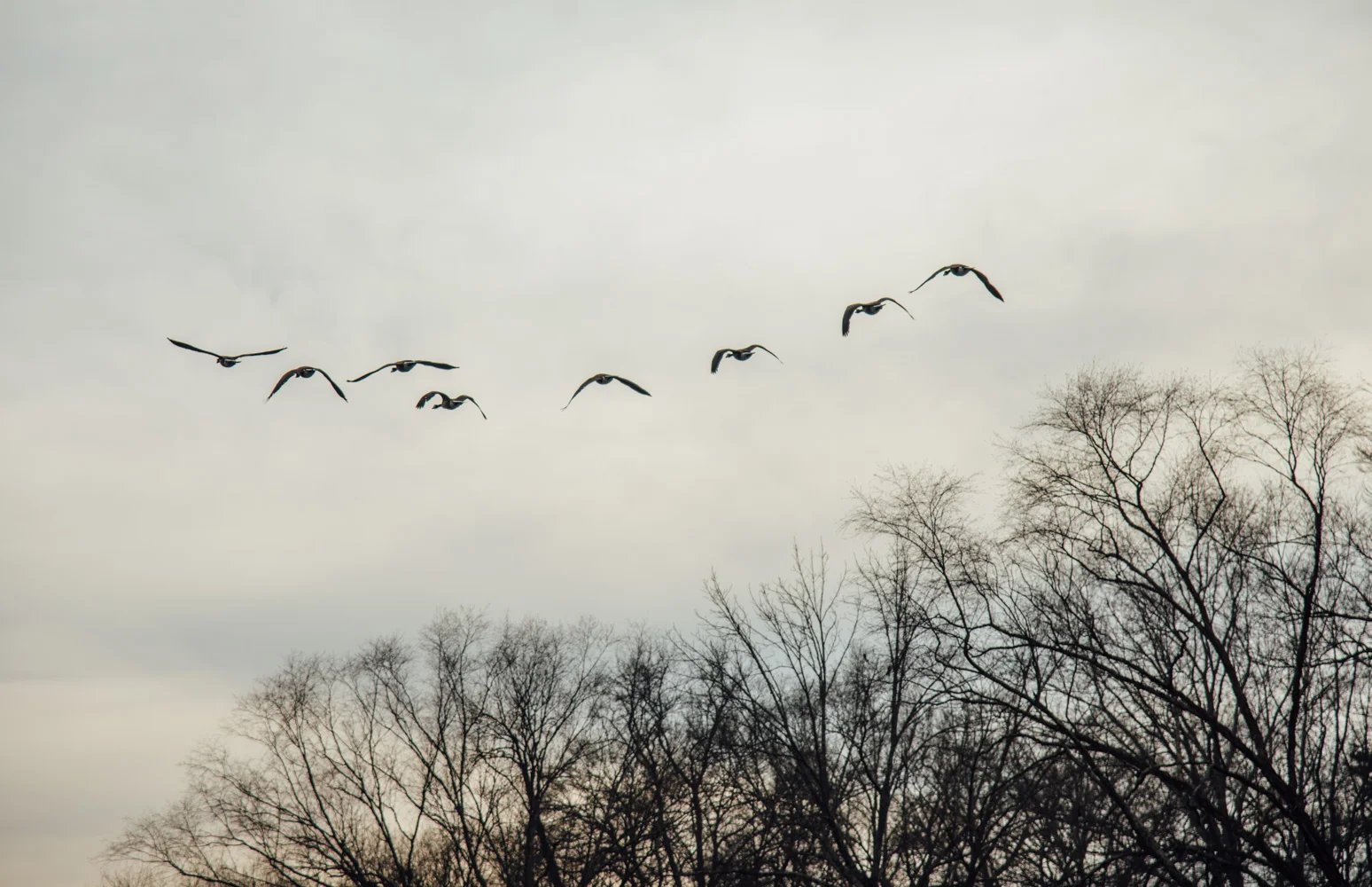 DSC_5814.jpg