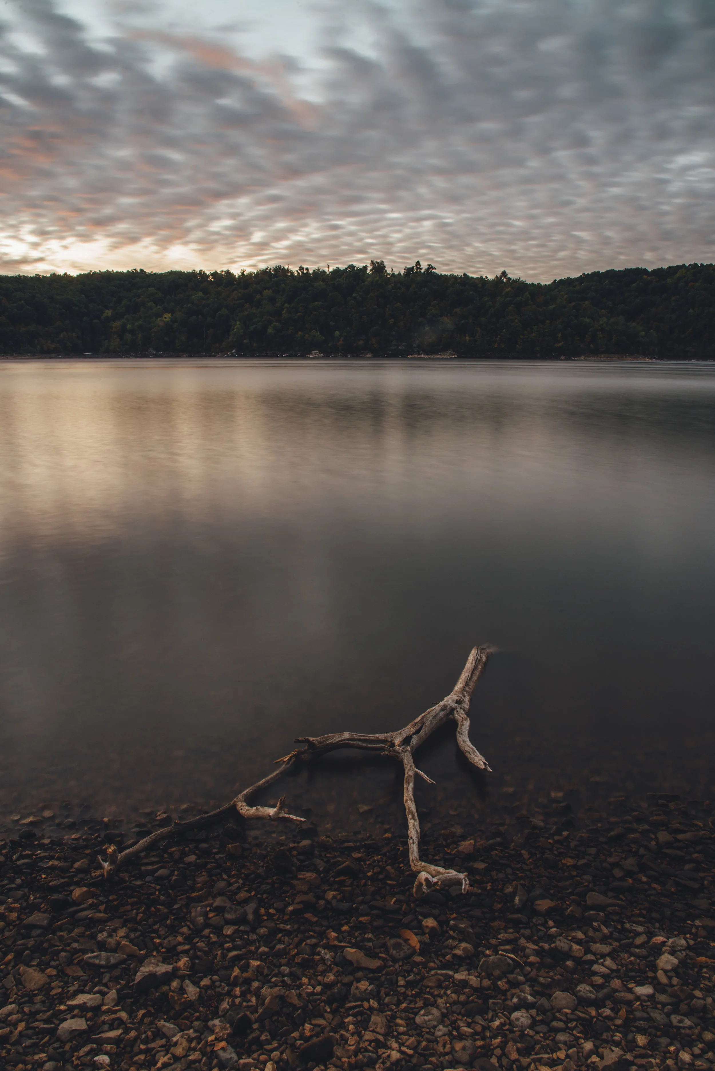 ASH_9641-Edit.jpg