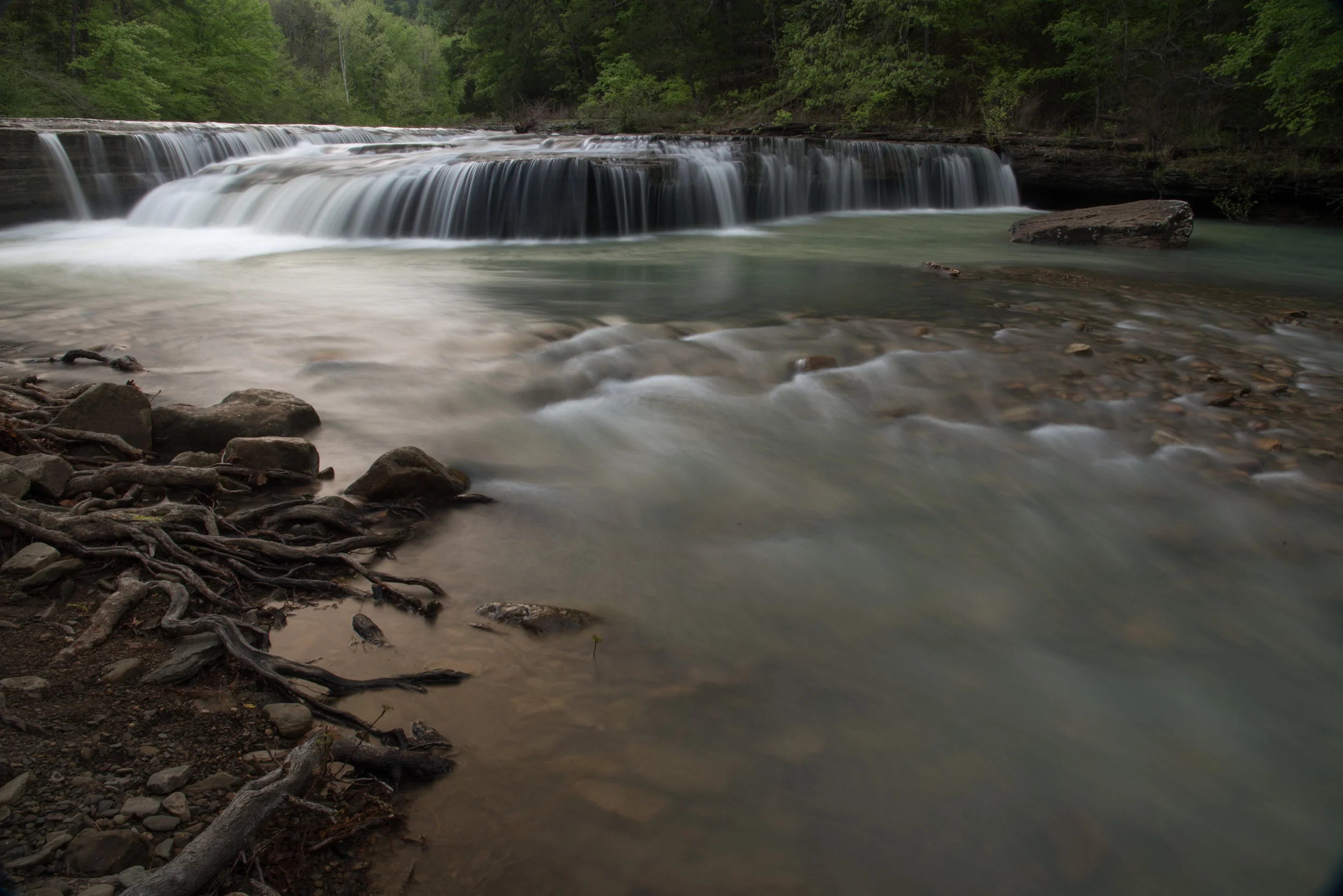 DSC_1035.jpg