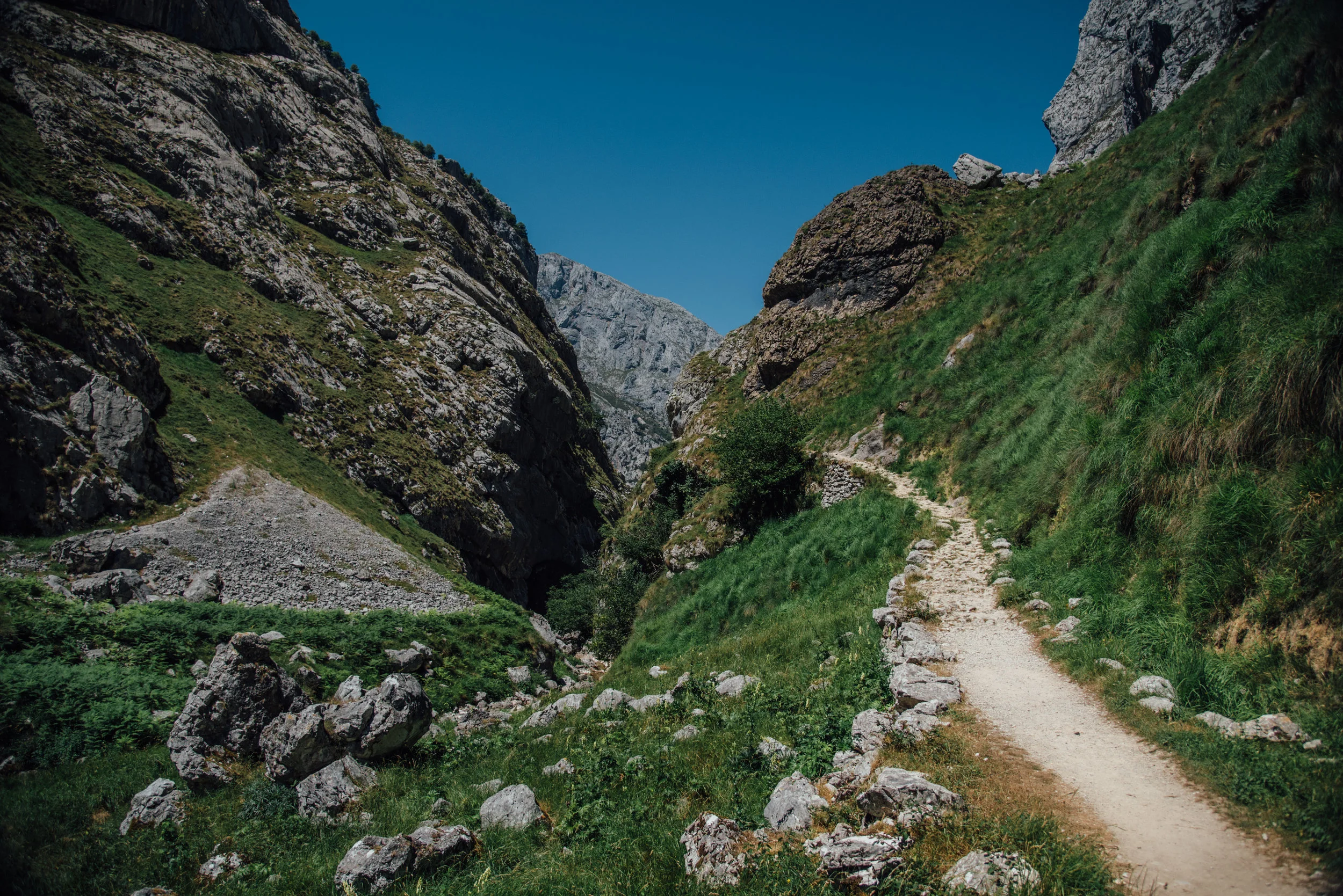 DSC_1392.jpg