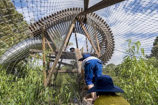 Nature play at Centennial Park, Sydney