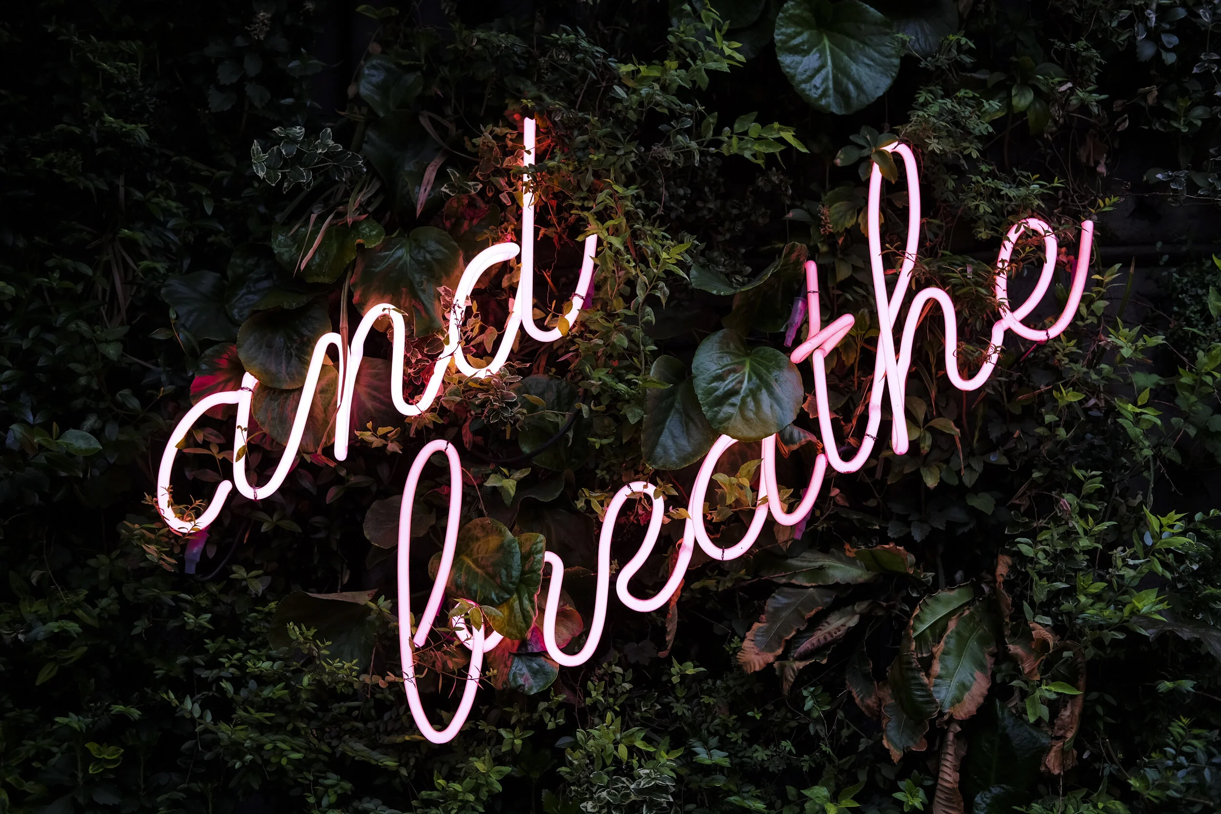 How Do I Care for Myself through a Pandemic?