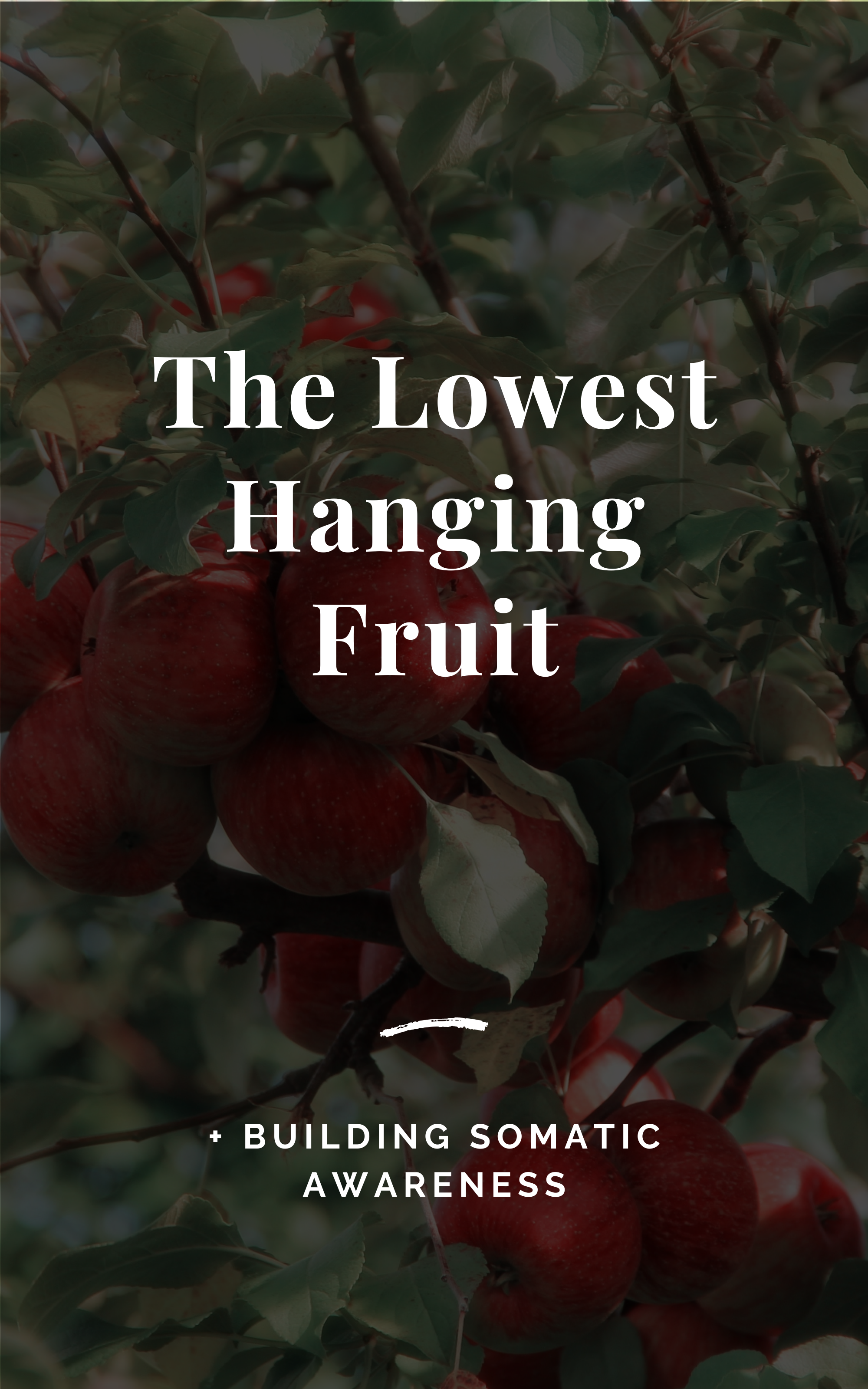 The Lowest Hanging Fruit