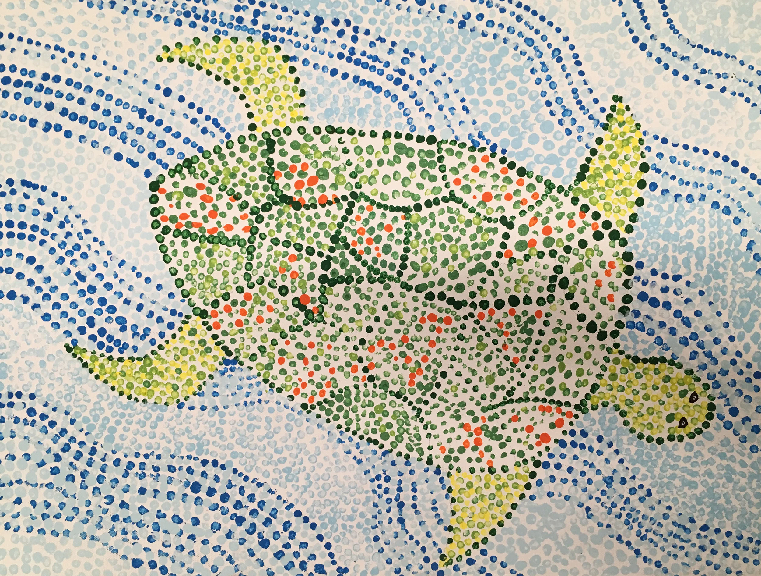 MS Tortue perdue CP.JPG