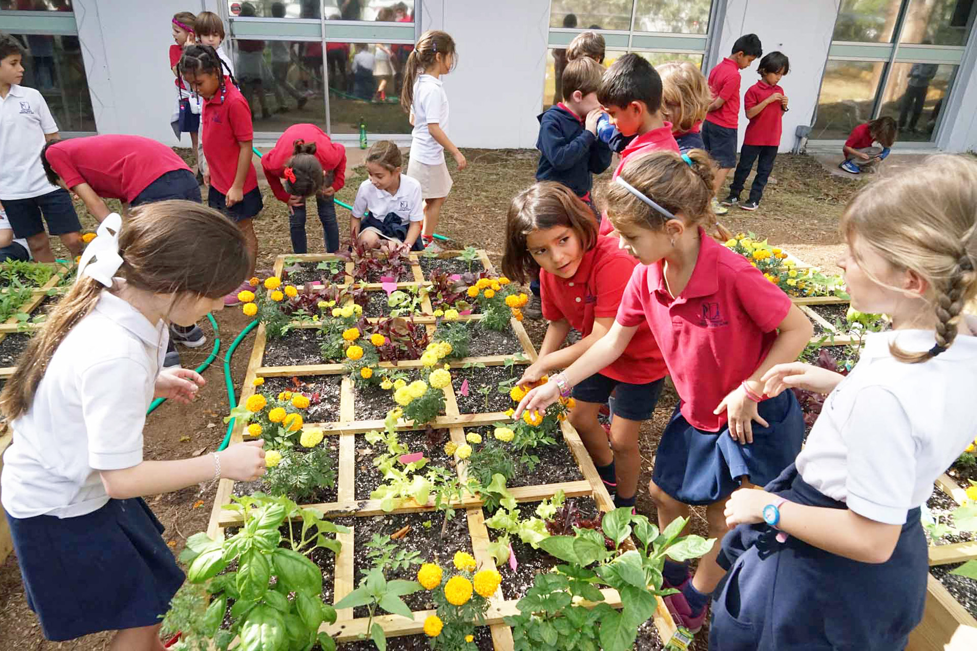 organic-garden-square-gardening-school-miami.JPG