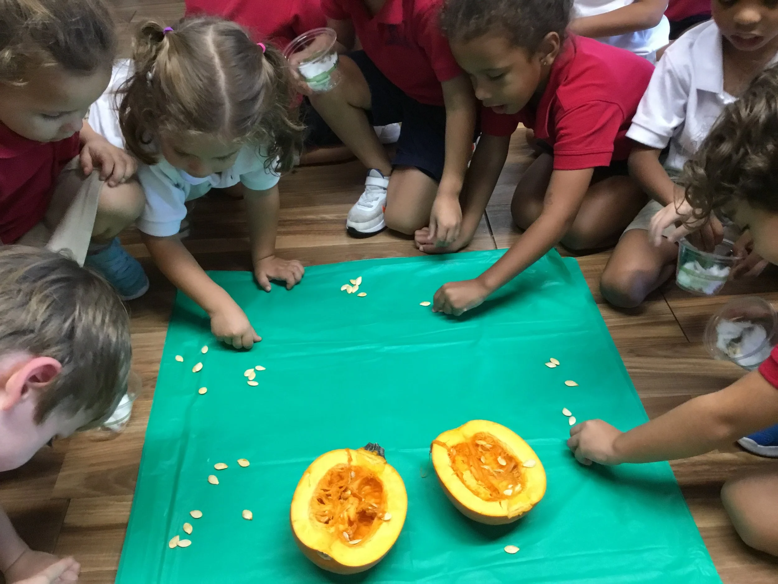 JARDINAGE EN MOYENNE SECTION