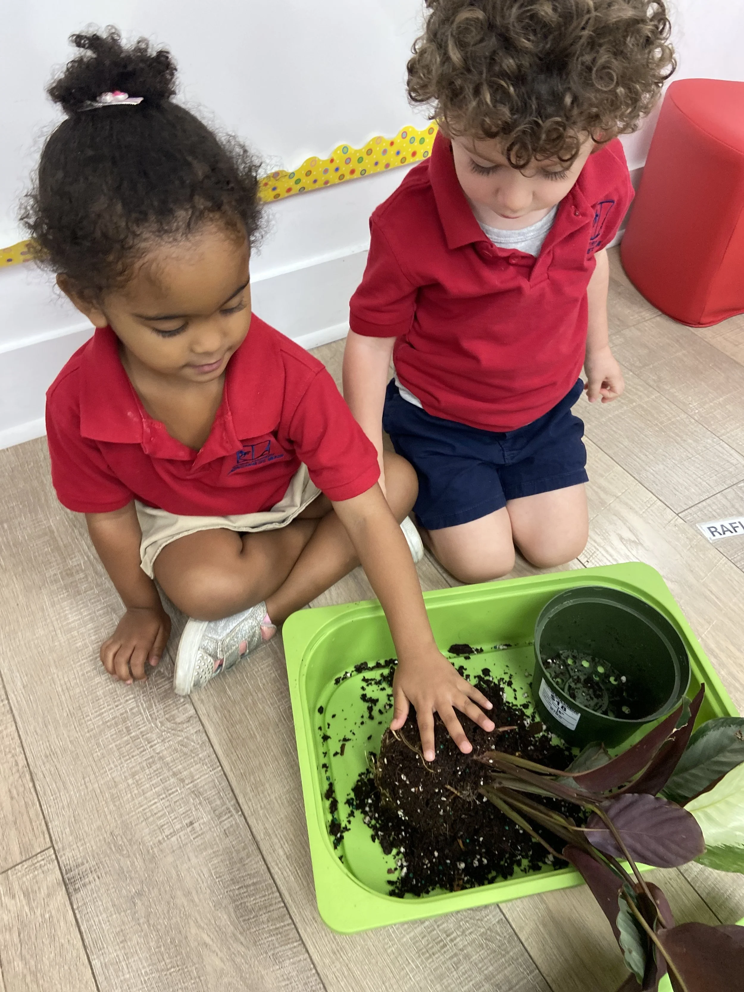 2 élèves - plante en classe - sciencesCHOISI.JPG