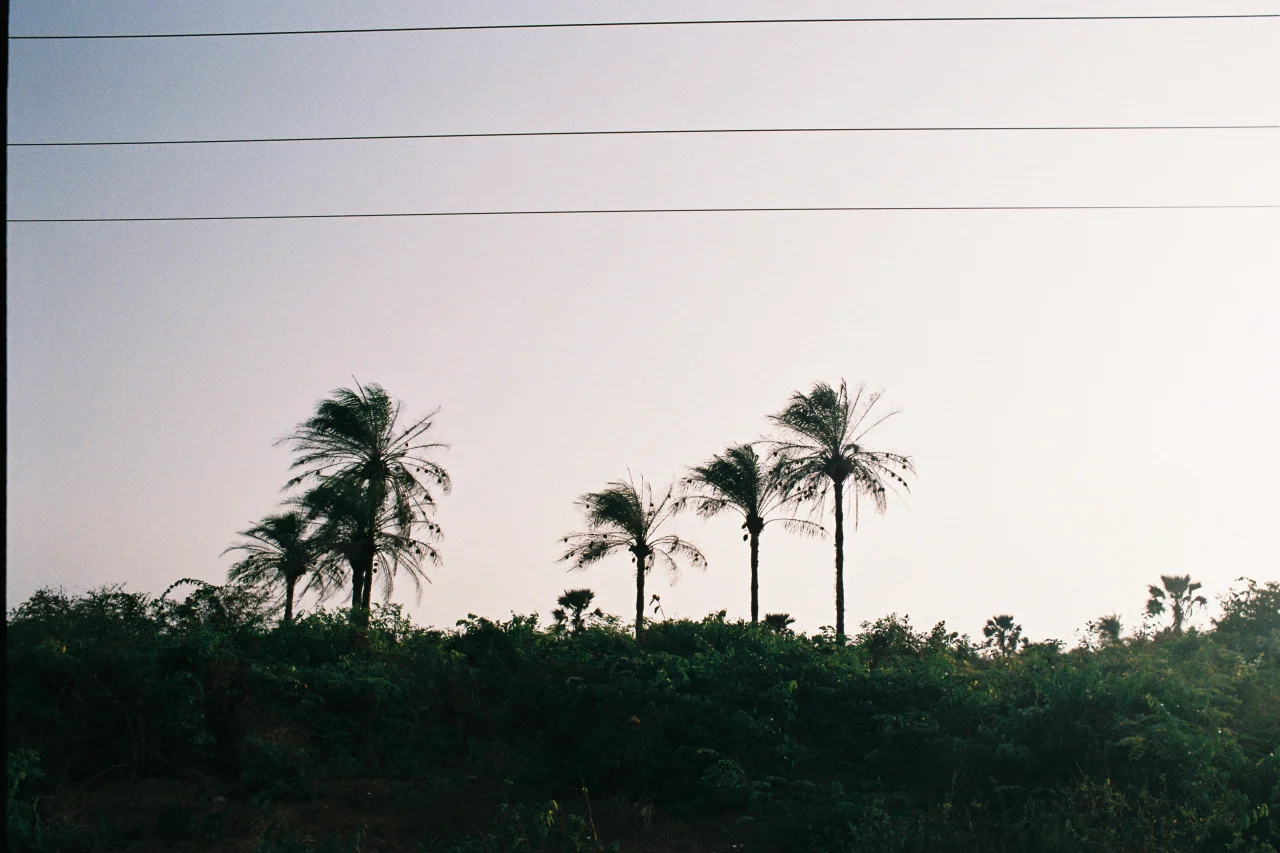casamance, senegal