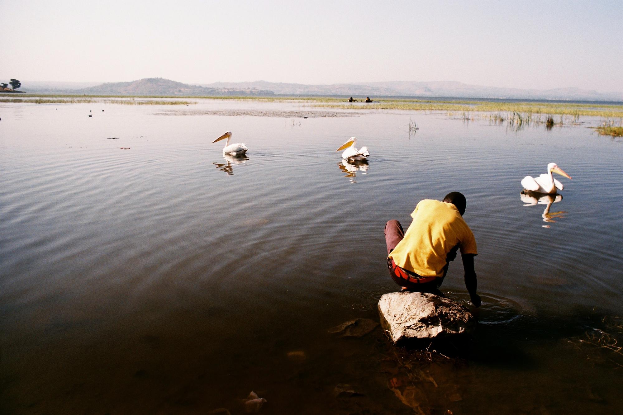 lake hawassa, ethiopia