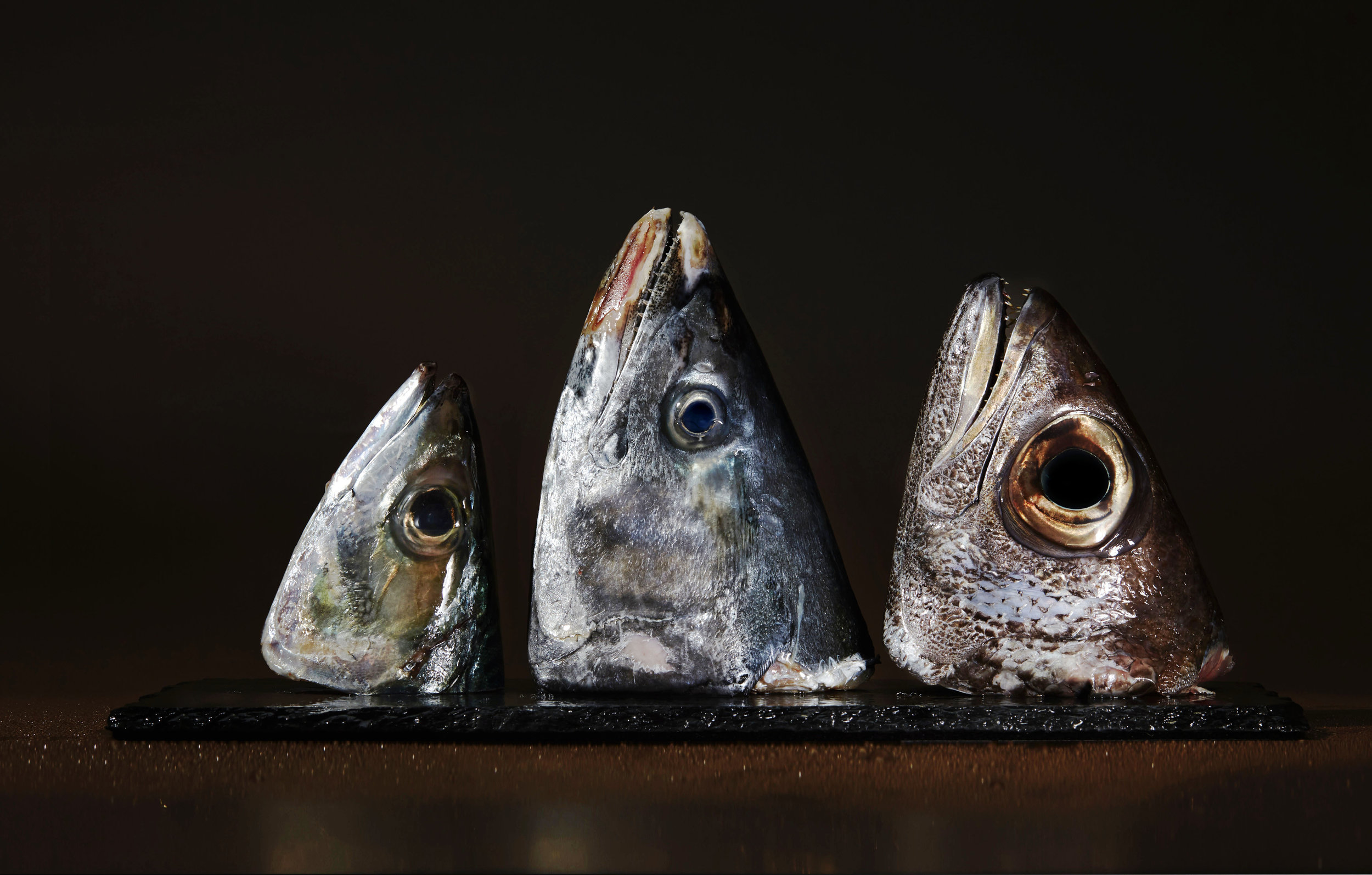 Fish heads.jpg