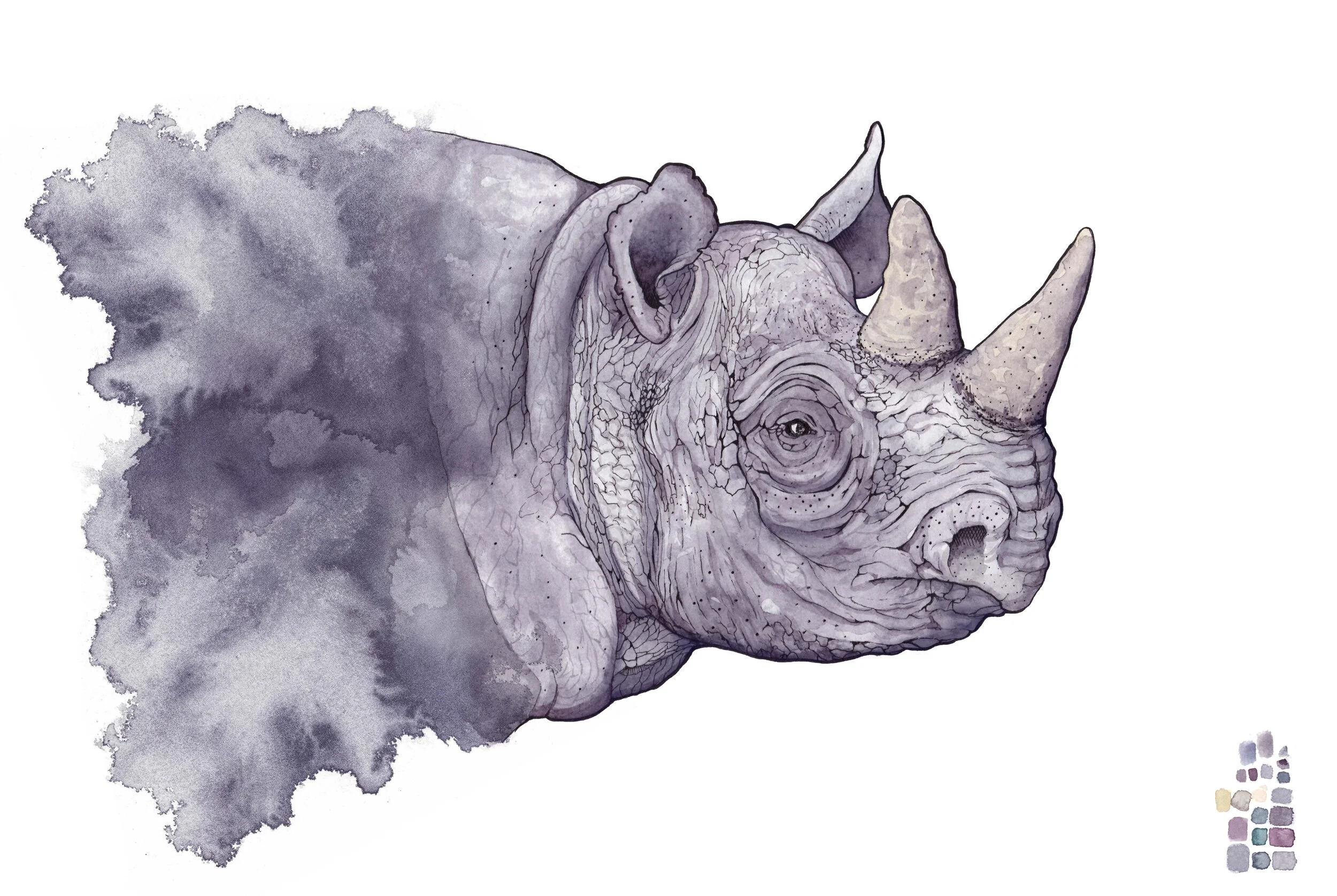 RHINO.jpg