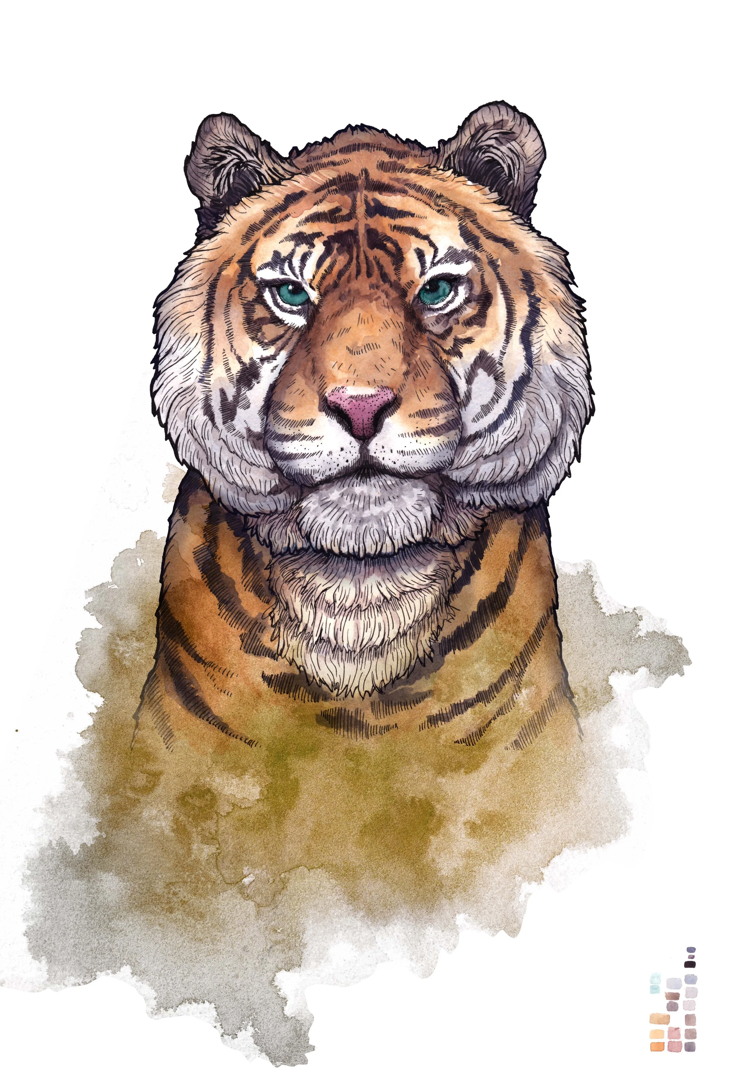 TIGER.jpg