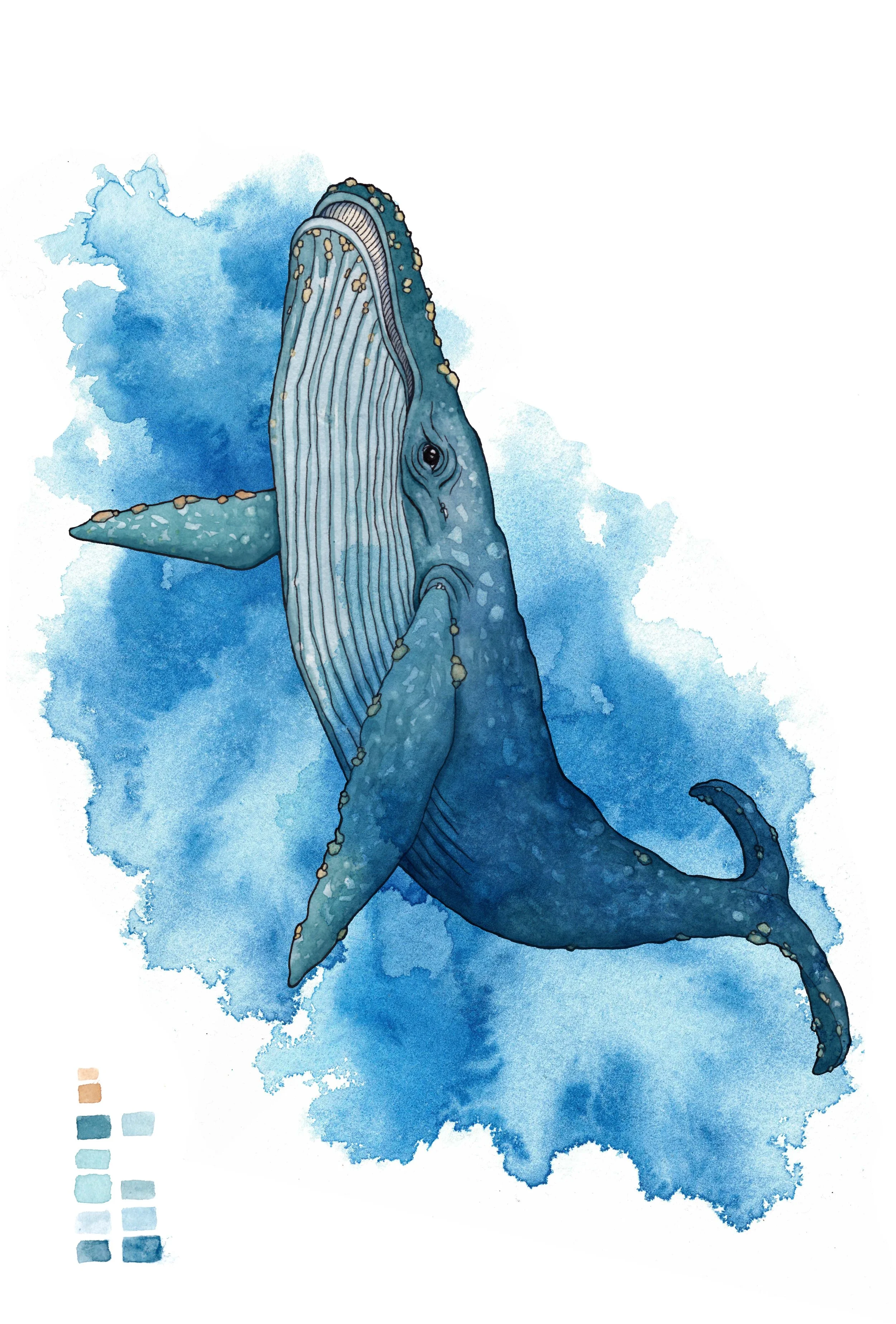WHALE.jpg