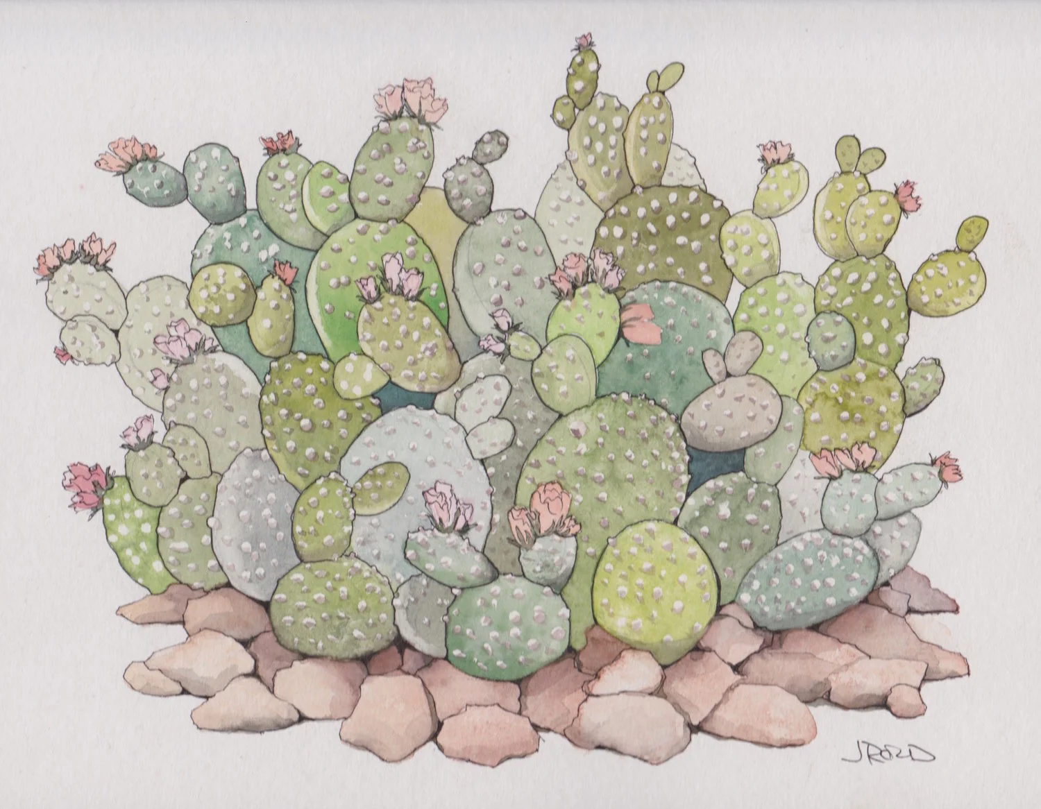 Cactus+10_01_17.jpg