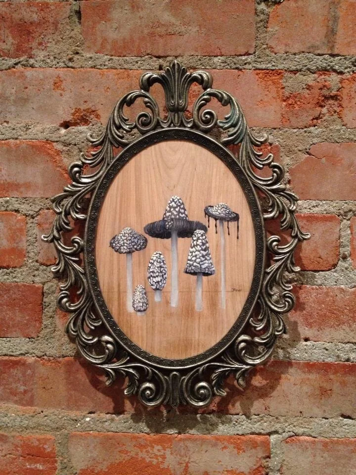 image-asset-1.jpg