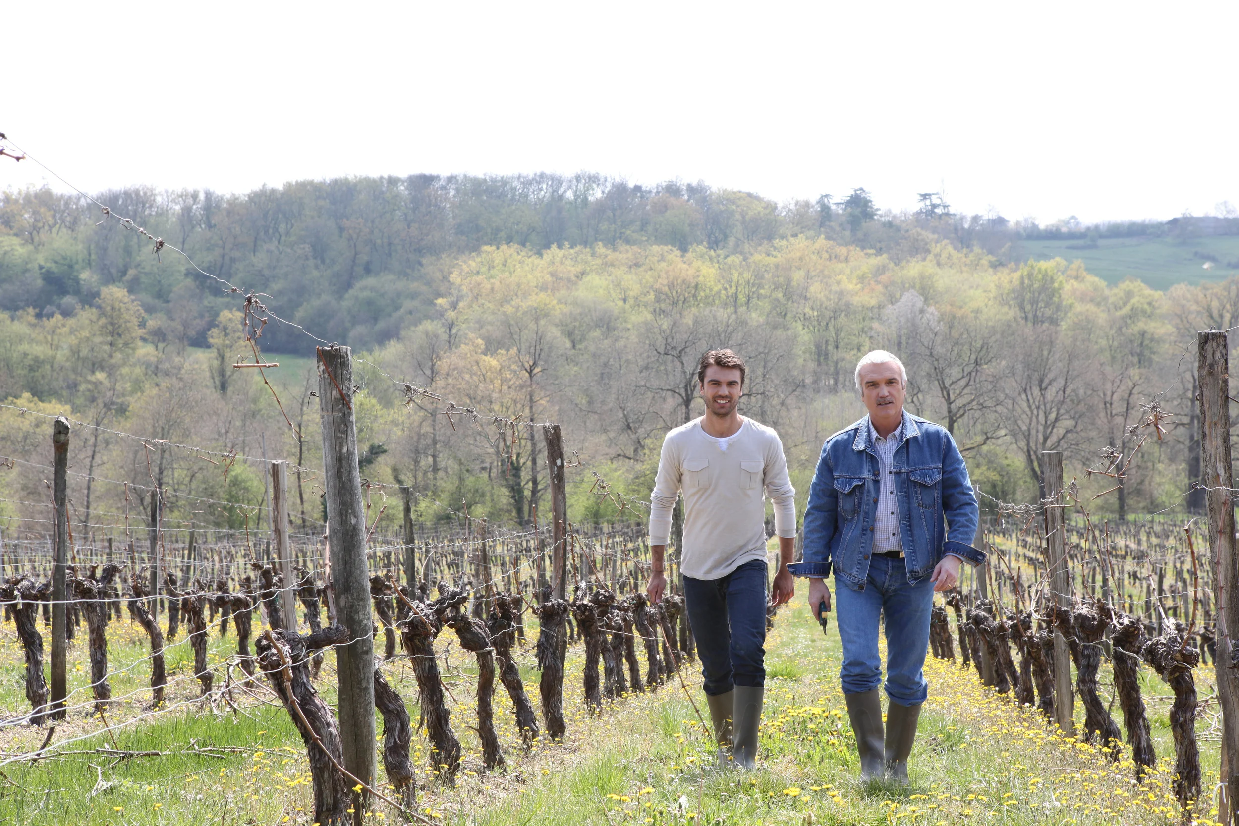 vineyard-manager.jpeg