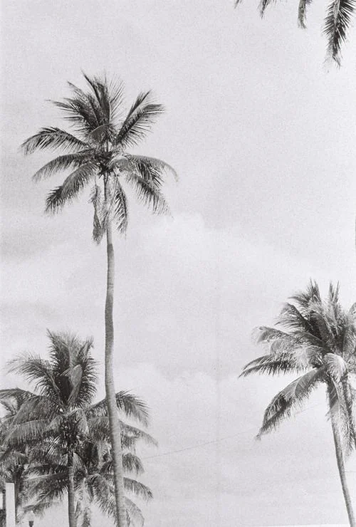 Black &amp; White Gives Me Life