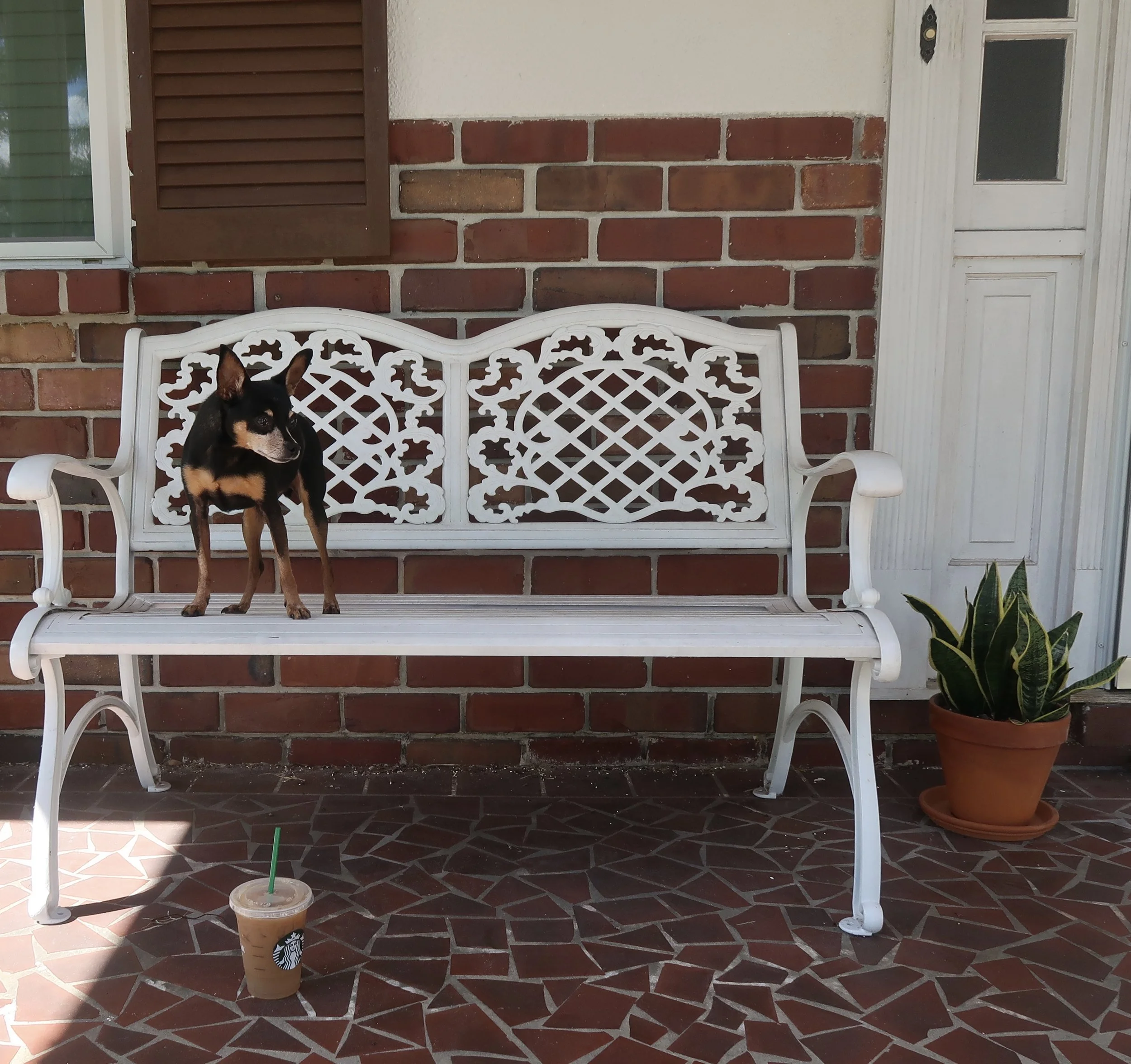 My Favorite Fall Outfit