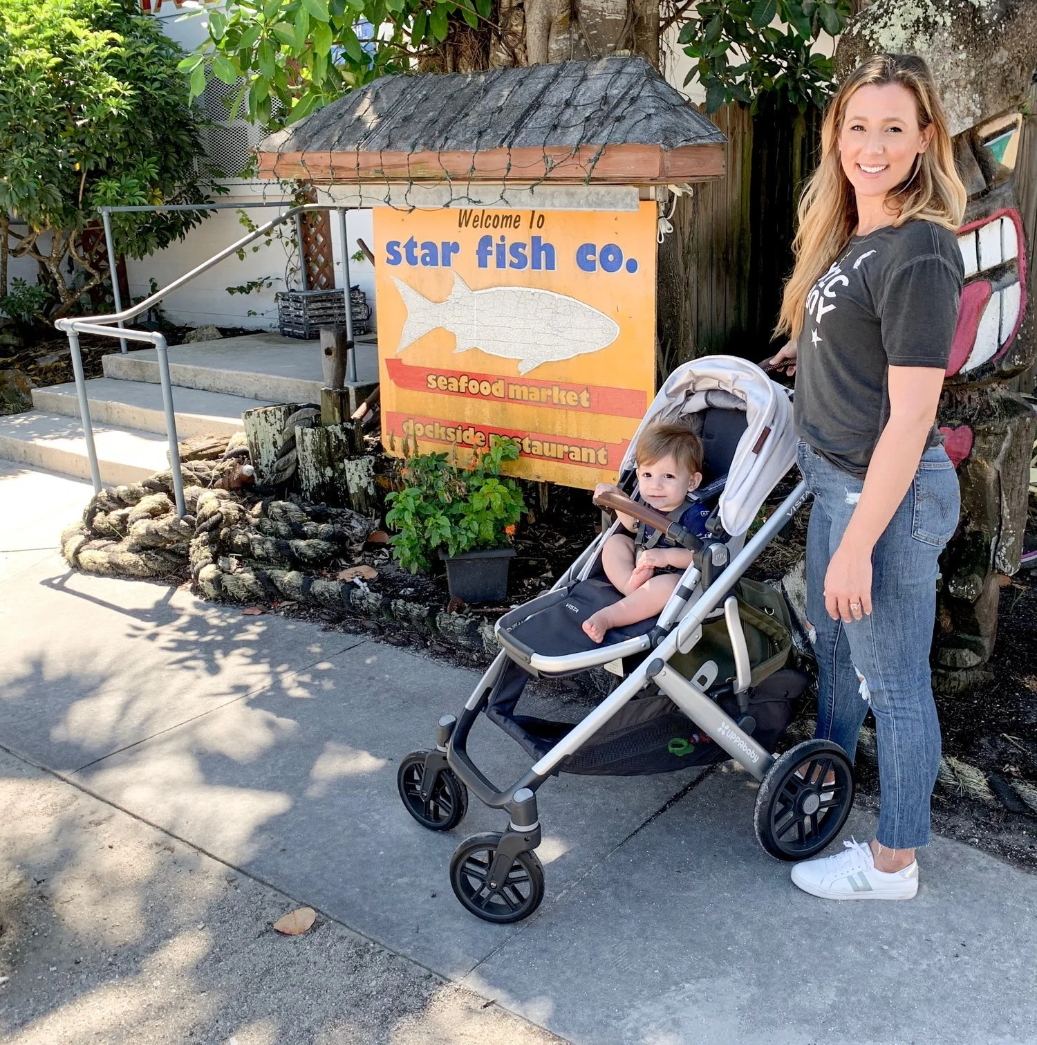 UPPAbaby VISTA Review