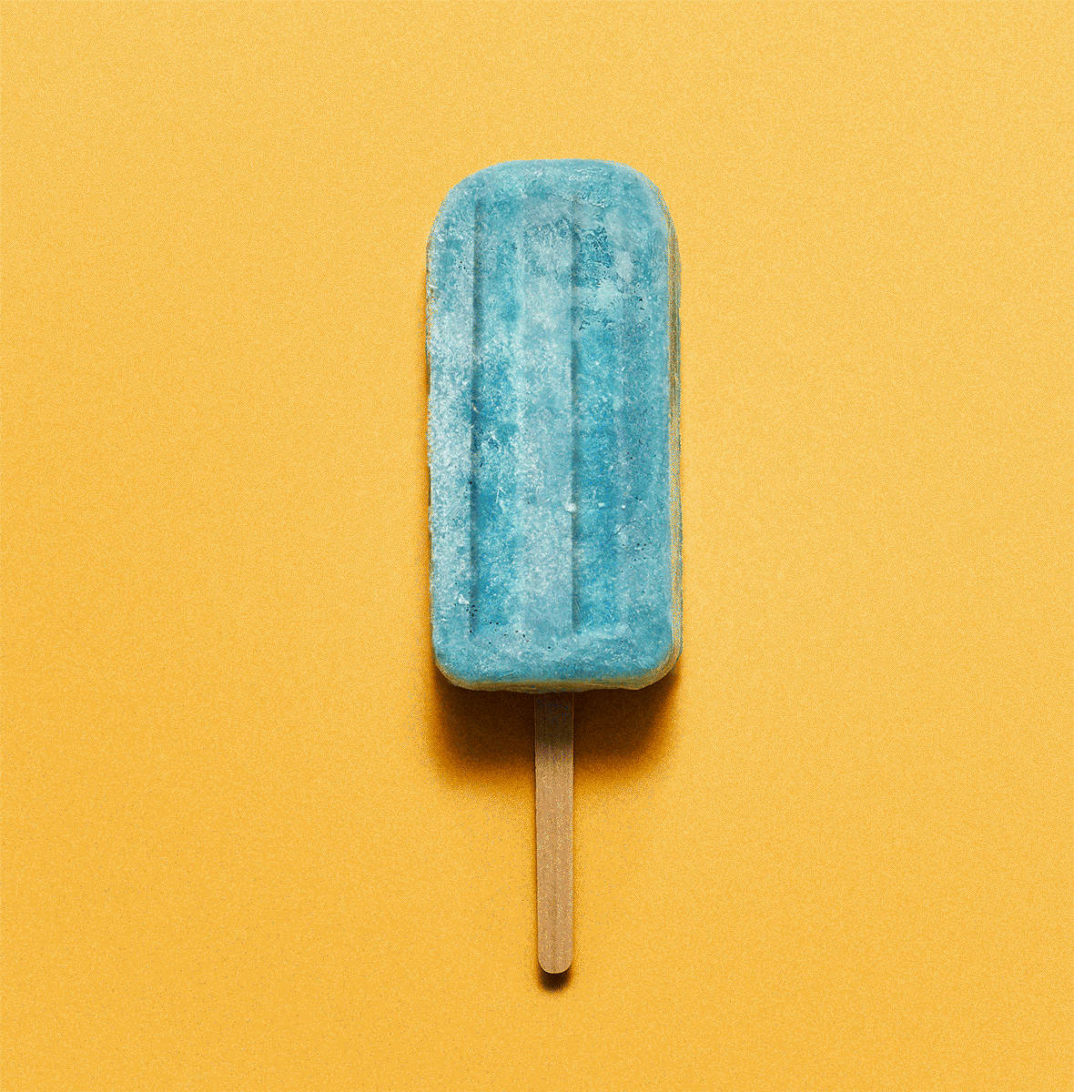 Untitled1.gif