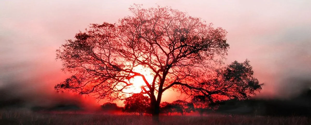 ::: Giving : the alchemy of love made visible :::